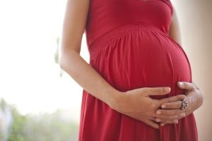What Are Your Surrogacy Options in Florida_carolan_blog