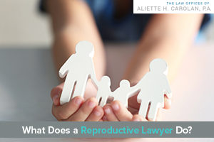 Reproductive Lawyer Do